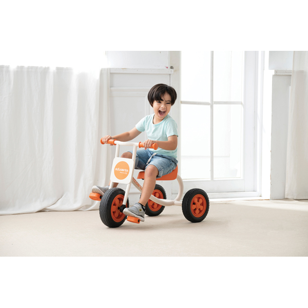 Edusante Trike – Bild 2