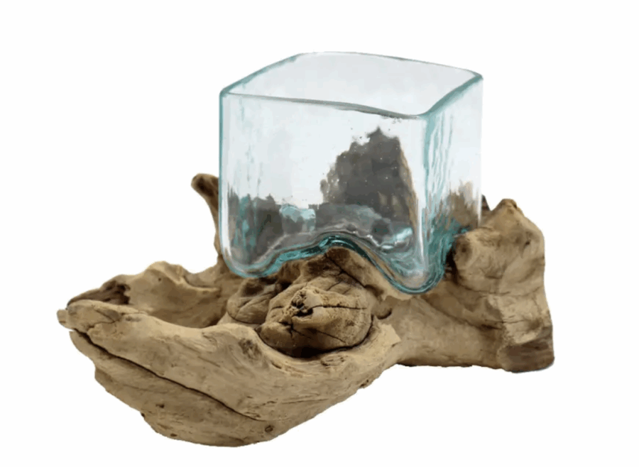 Wurzel mit eckigem Glas "Quader" 6er Set – Bild 2